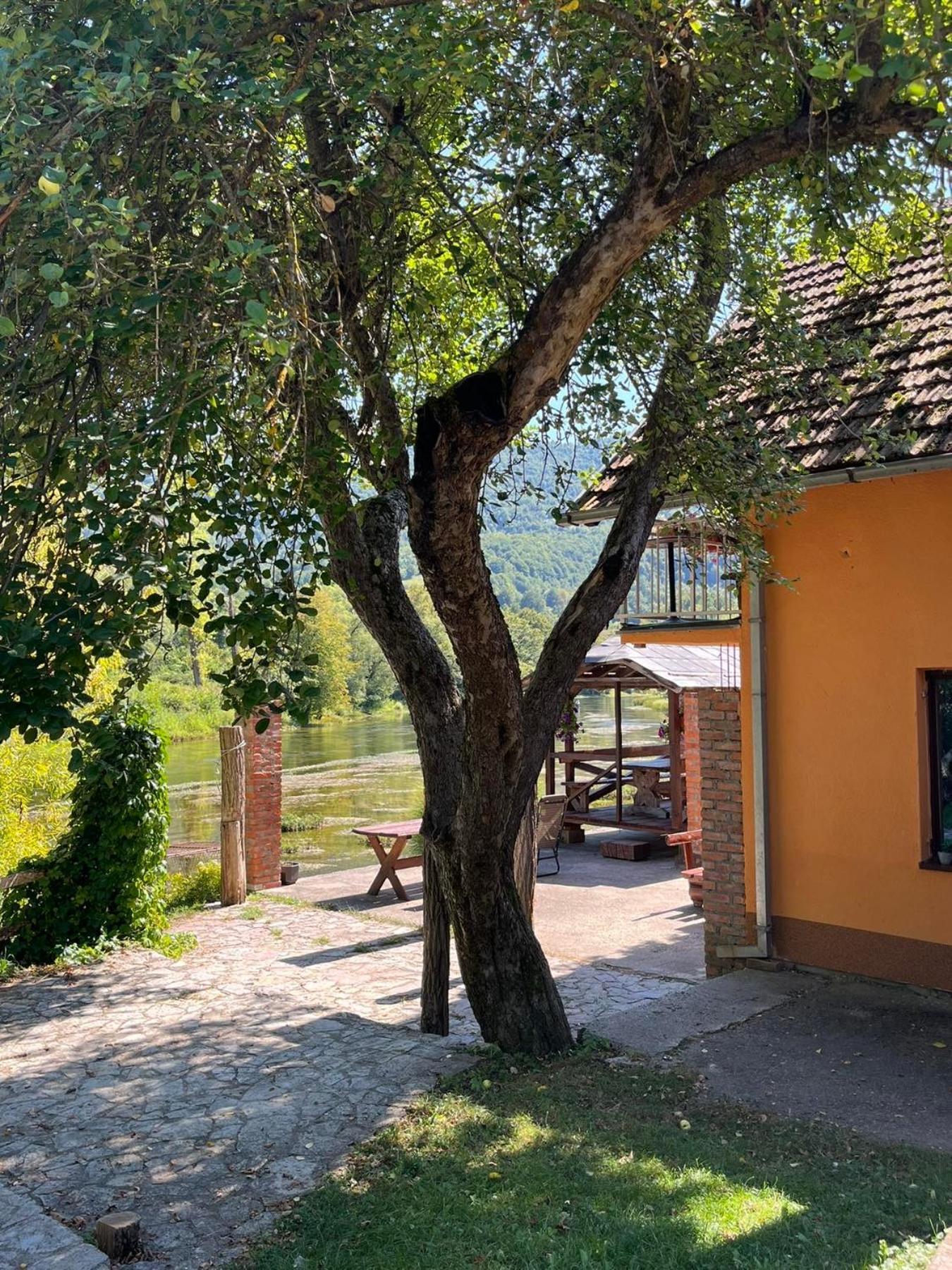 Bed And Breakfast Family Djukic Sipovo Bagian luar foto