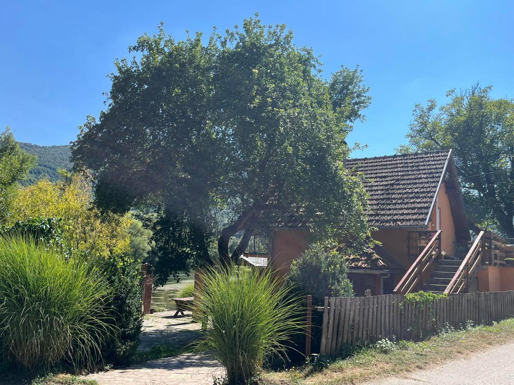 Bed And Breakfast Family Djukic Sipovo Bagian luar foto